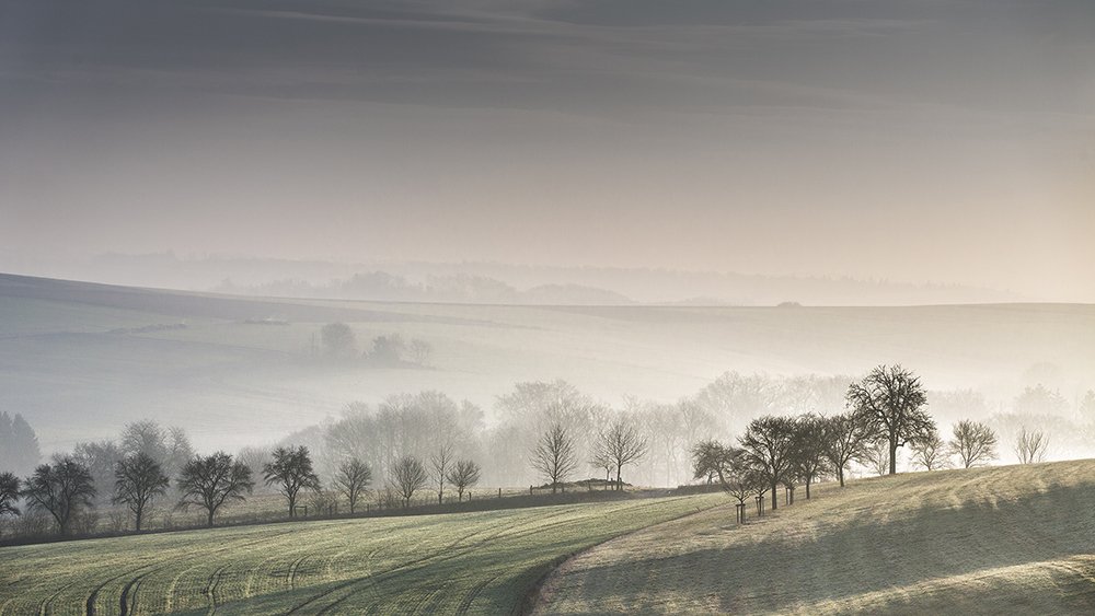 Landschaft im Nebel