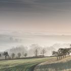 Landschaft im Nebel