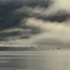 Landschaft Im Nebel.                DSC_7375
