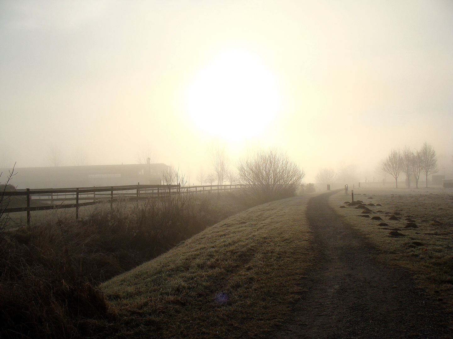 Landschaft im Nebel