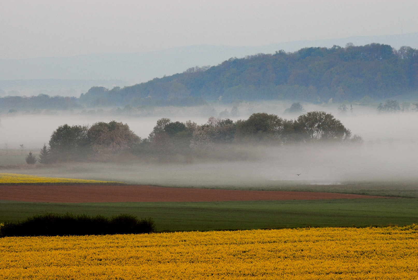 Landschaft im Nebel