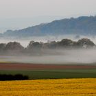 Landschaft im Nebel