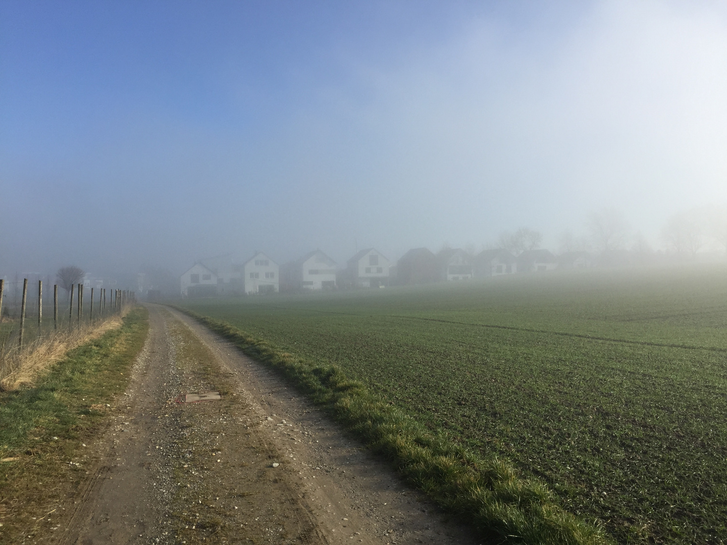 Landschaft im Nebel