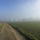 Landschaft im Nebel