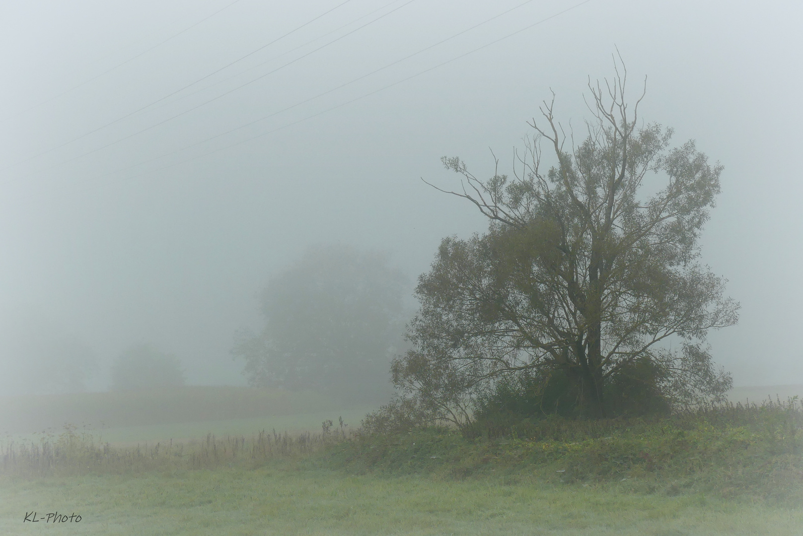 Landschaft im Nebel I