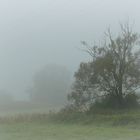 Landschaft im Nebel I