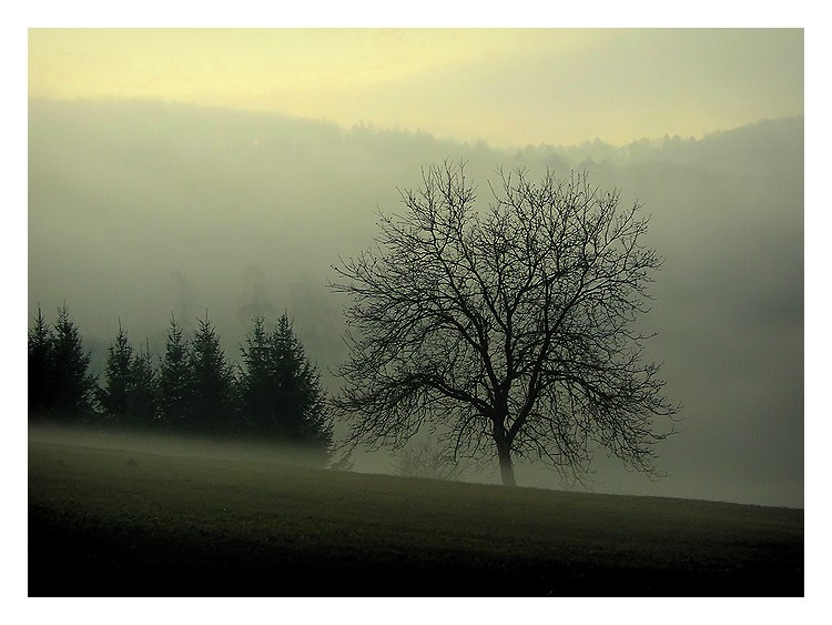 Landschaft im Nebel II