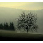 Landschaft im Nebel II