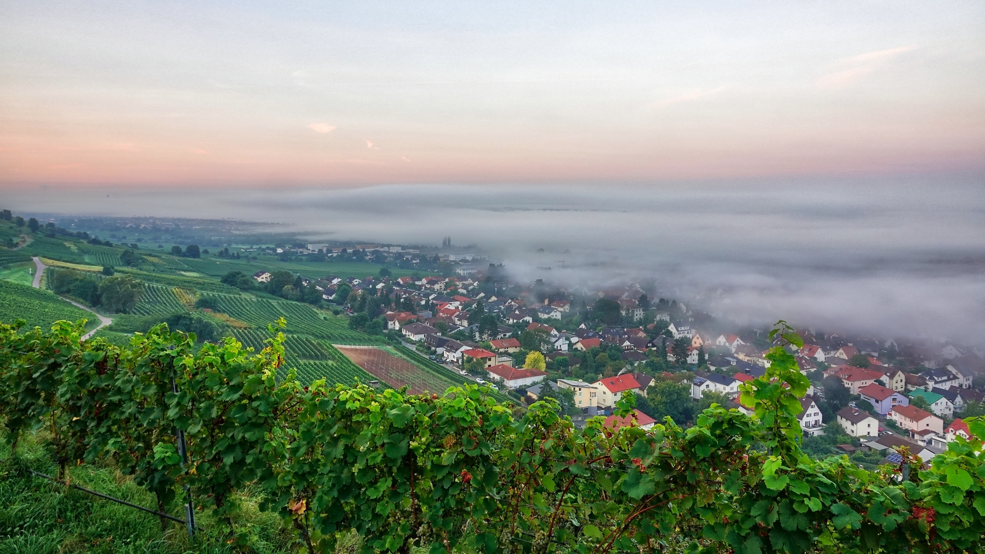 Landschaft im Nebel, Schriesheim