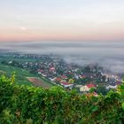 Landschaft im Nebel, Schriesheim