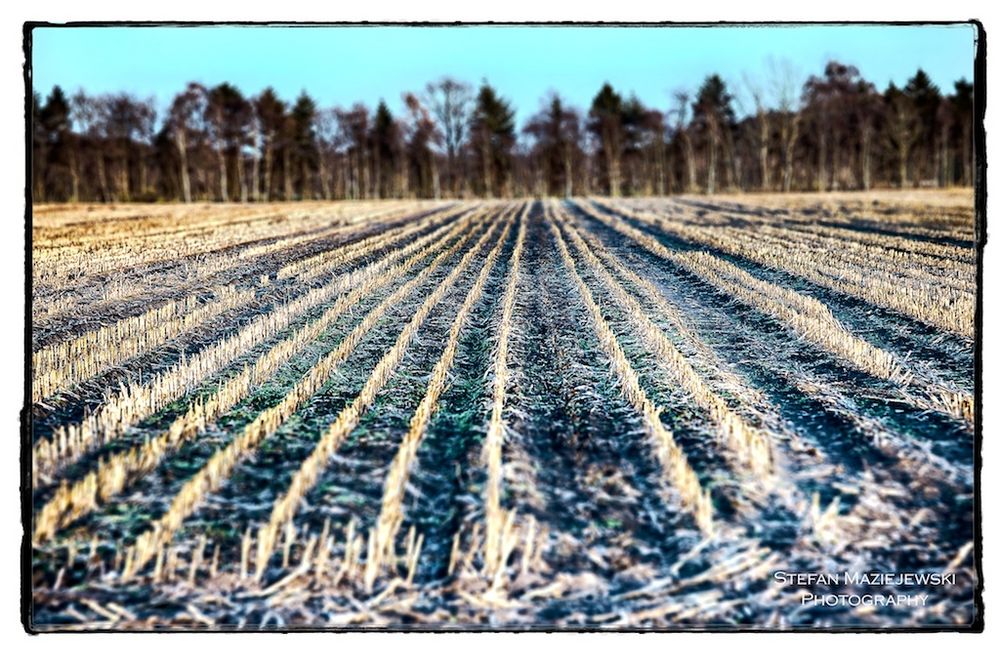 Landschaft im November