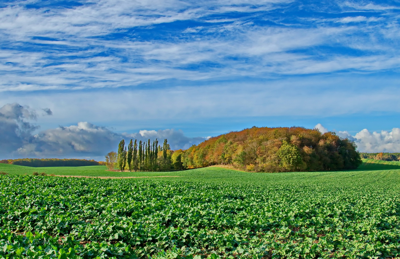 Landschaft im November