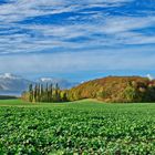 Landschaft im November