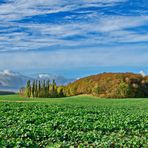 Landschaft im November