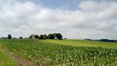 Landschaft im Oberallgäu