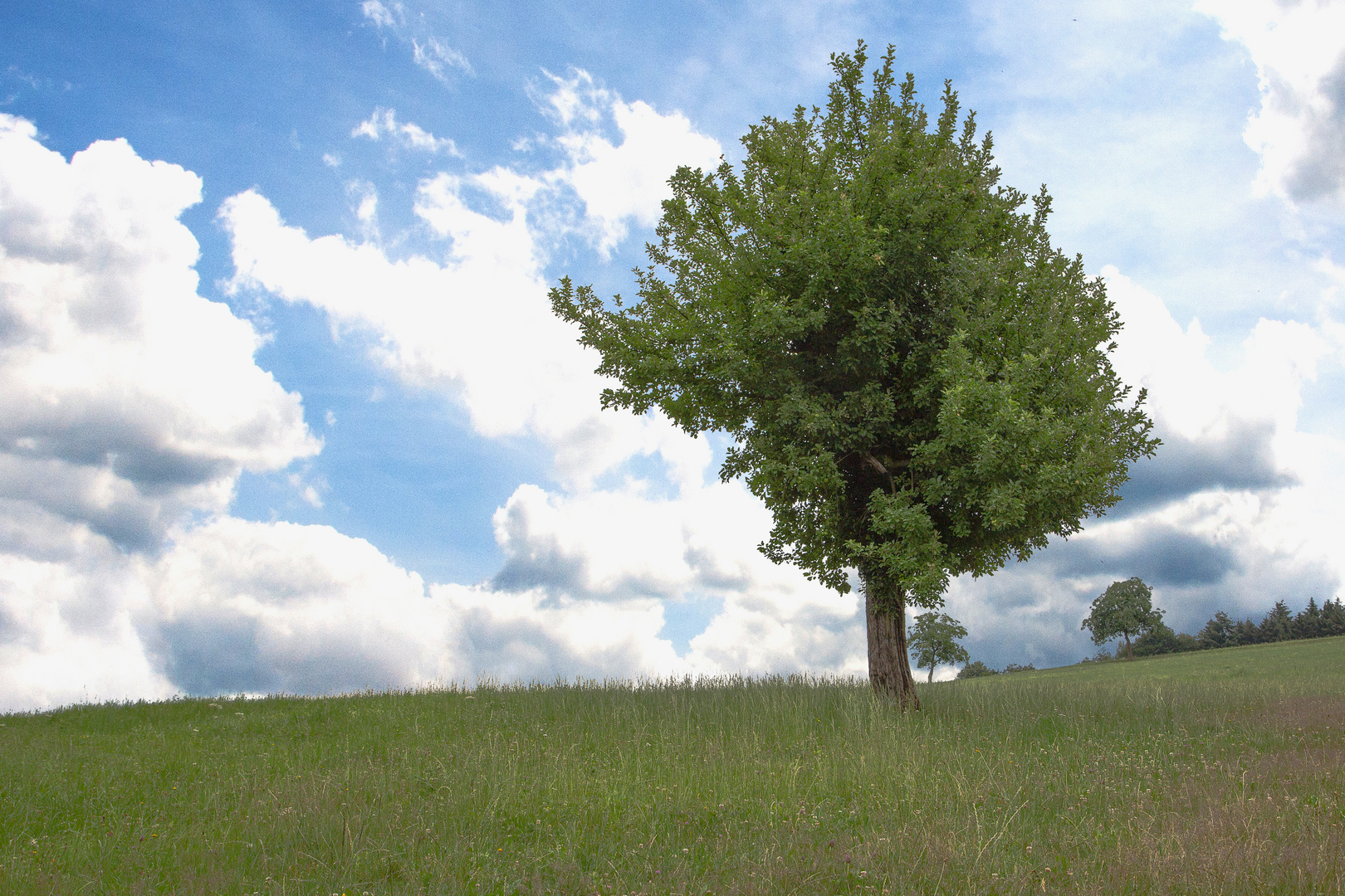 Landschaft im Odenwald