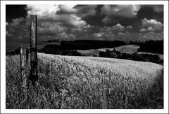 Landschaft im Oesling