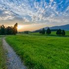 Landschaft im Ostallgäu