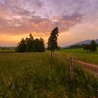 Landschaft im Ostallgäu