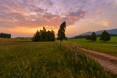 Landschaft im Ostallgäu