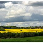 Landschaft im Peenetal