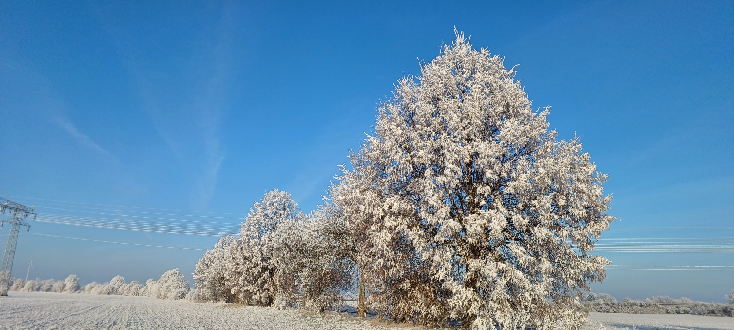 Landschaft im Puderzuckerkleid