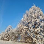 Landschaft im Puderzuckerkleid