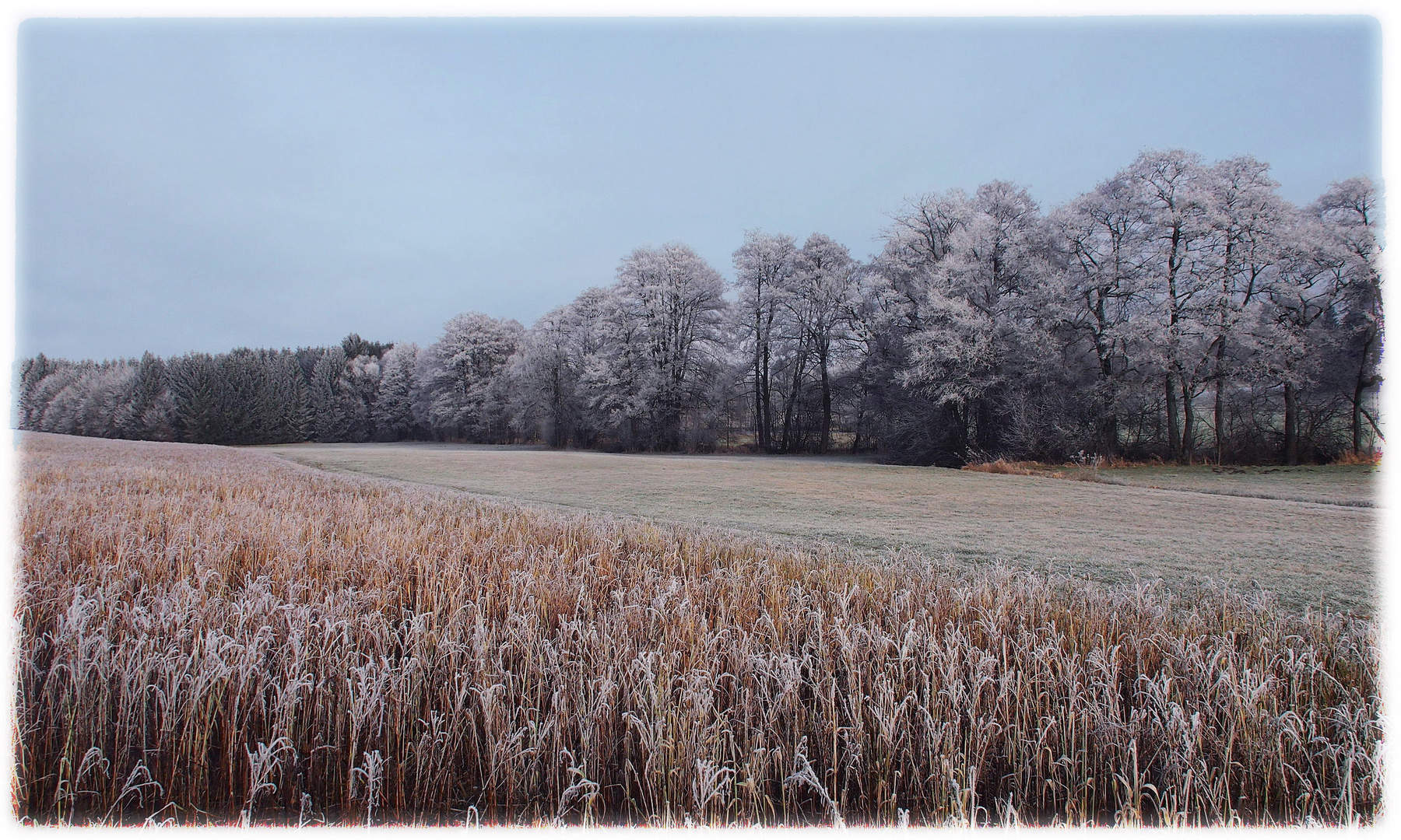 Landschaft im Raureif