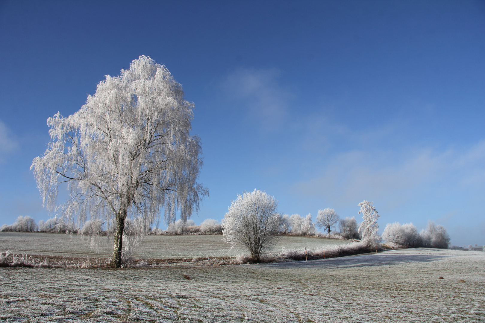 Landschaft im Raureif