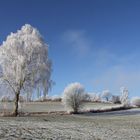 Landschaft im Raureif