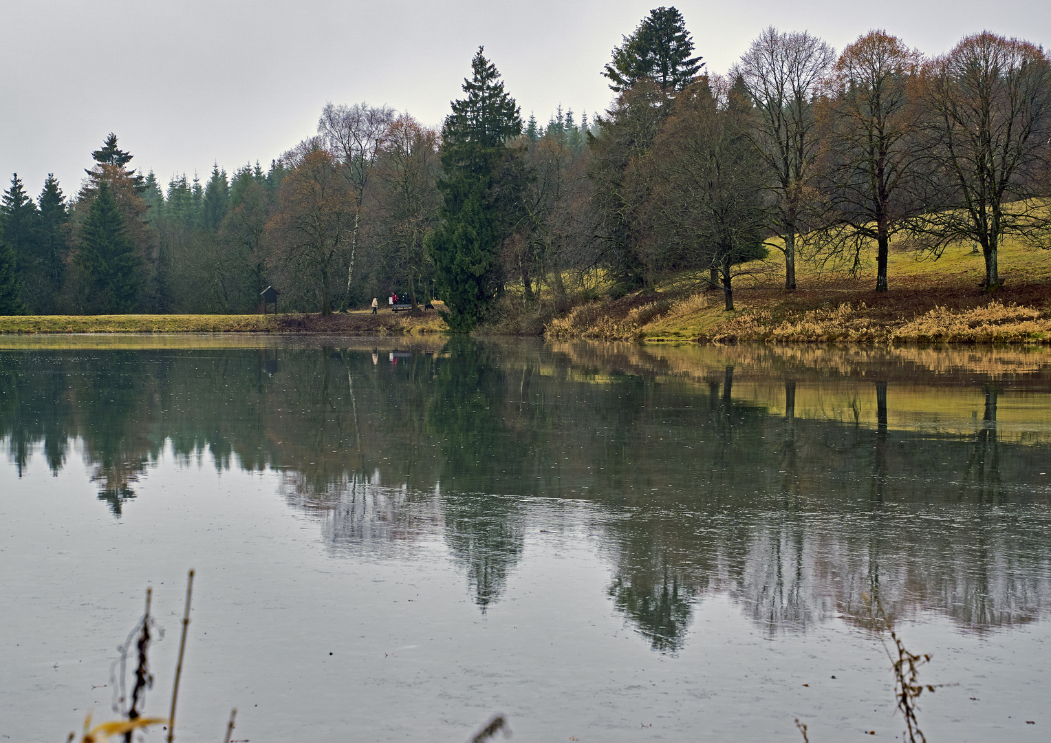 Landschaft im Regen