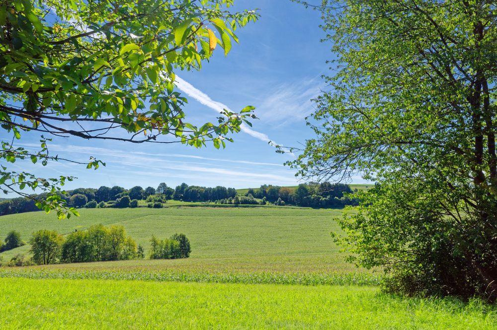 Landschaft im Saarland