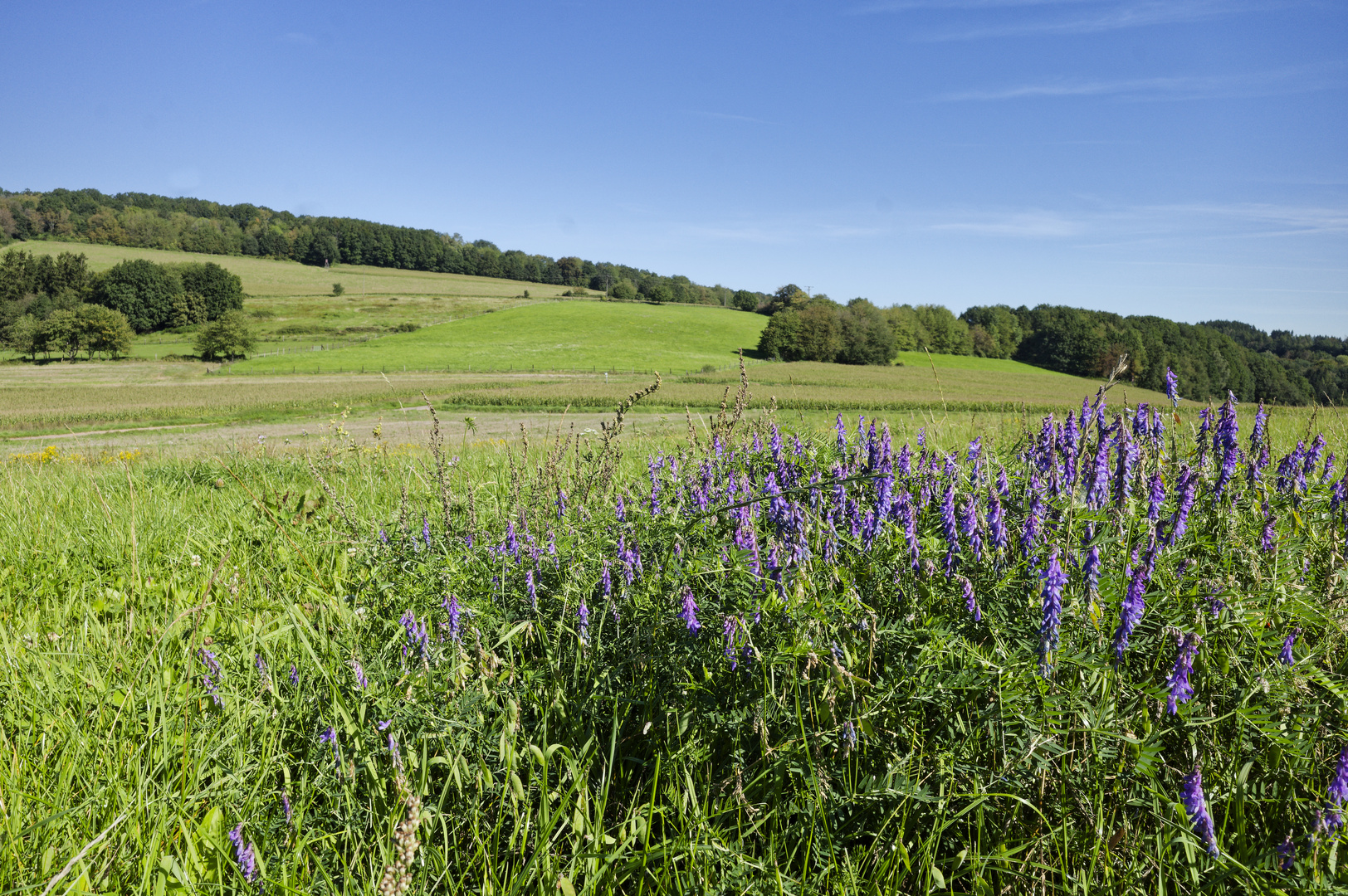 Landschaft im Saarland