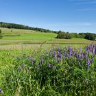 Landschaft im Saarland