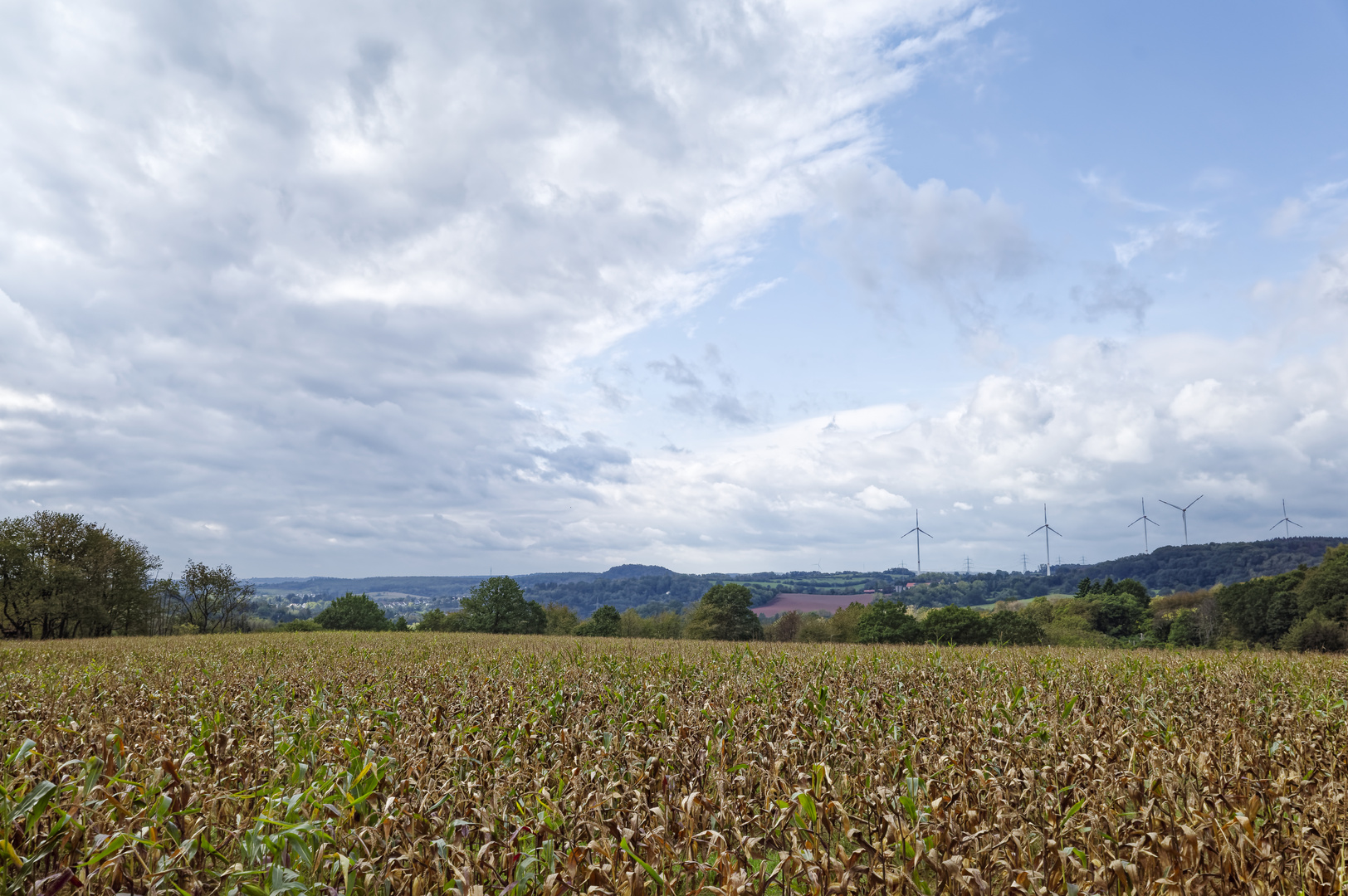 Landschaft im Saarland