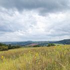 Landschaft im Saarland