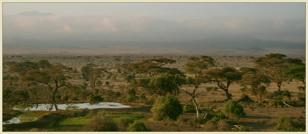 Landschaft im Samburo NP