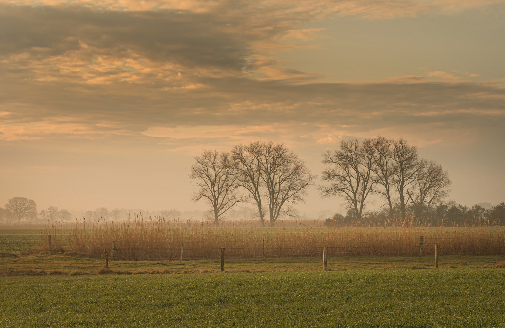 Landschaft im sanften Licht