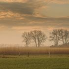 Landschaft im sanften Licht