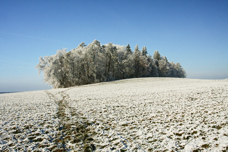 Landschaft im Schnee