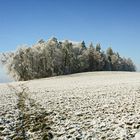 Landschaft im Schnee