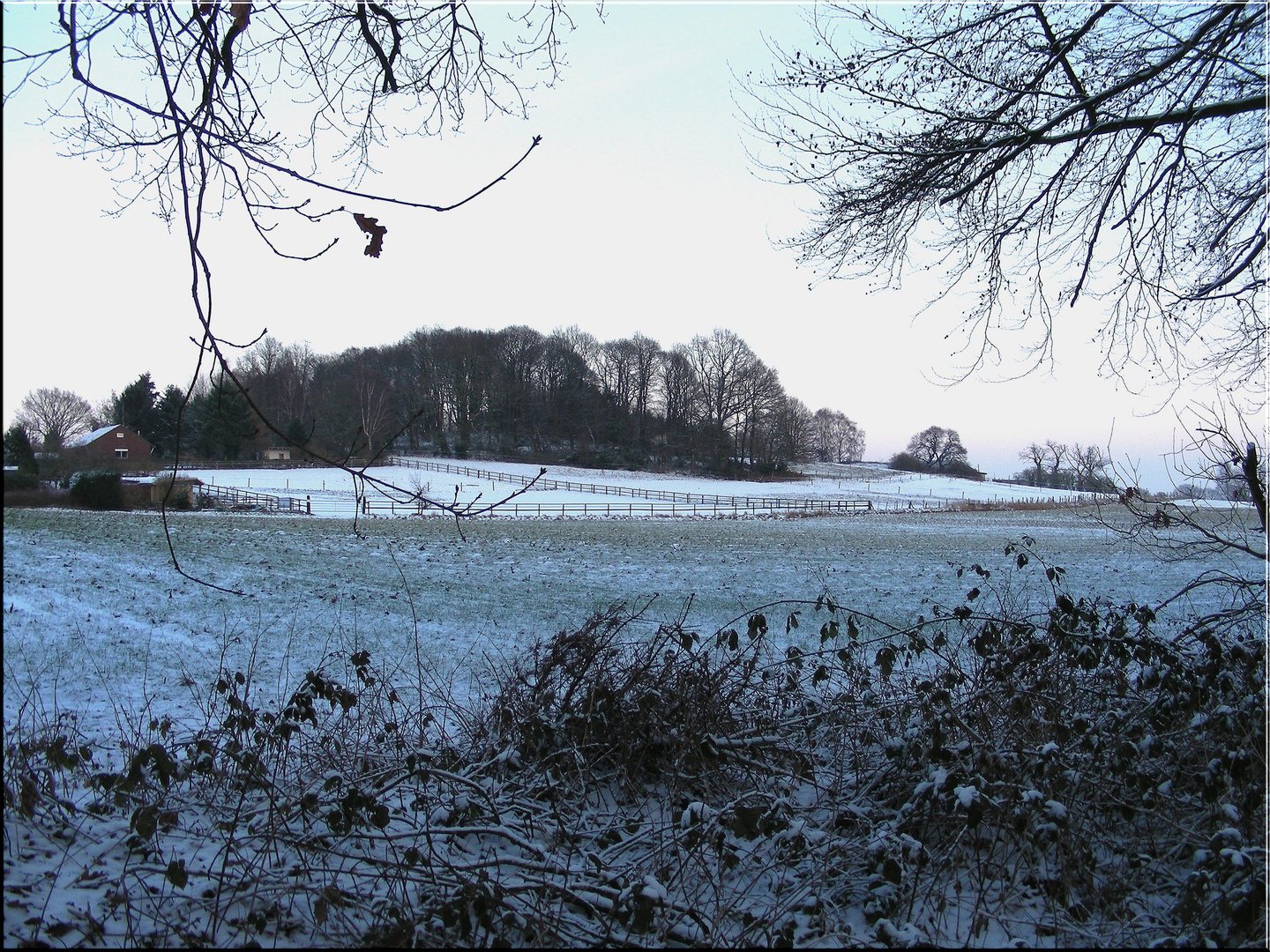 Landschaft im Schnee