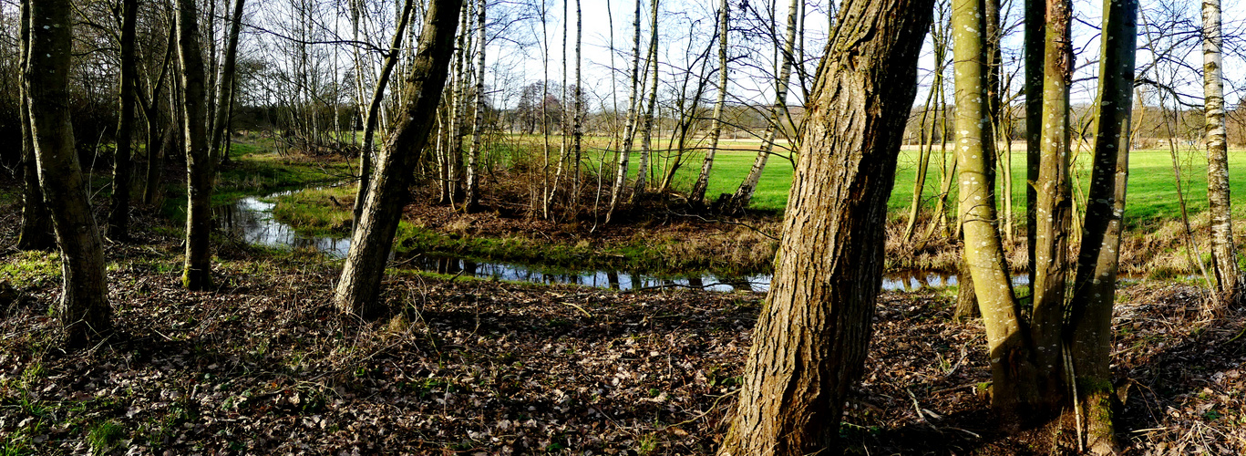 Landschaft im Schwalm-Nette-Gebiet