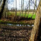 Landschaft im Schwalm-Nette-Gebiet