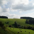 Landschaft im Schwarzwald