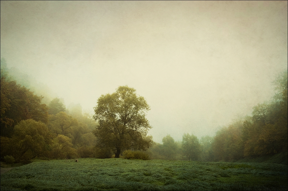 Landschaft im See 