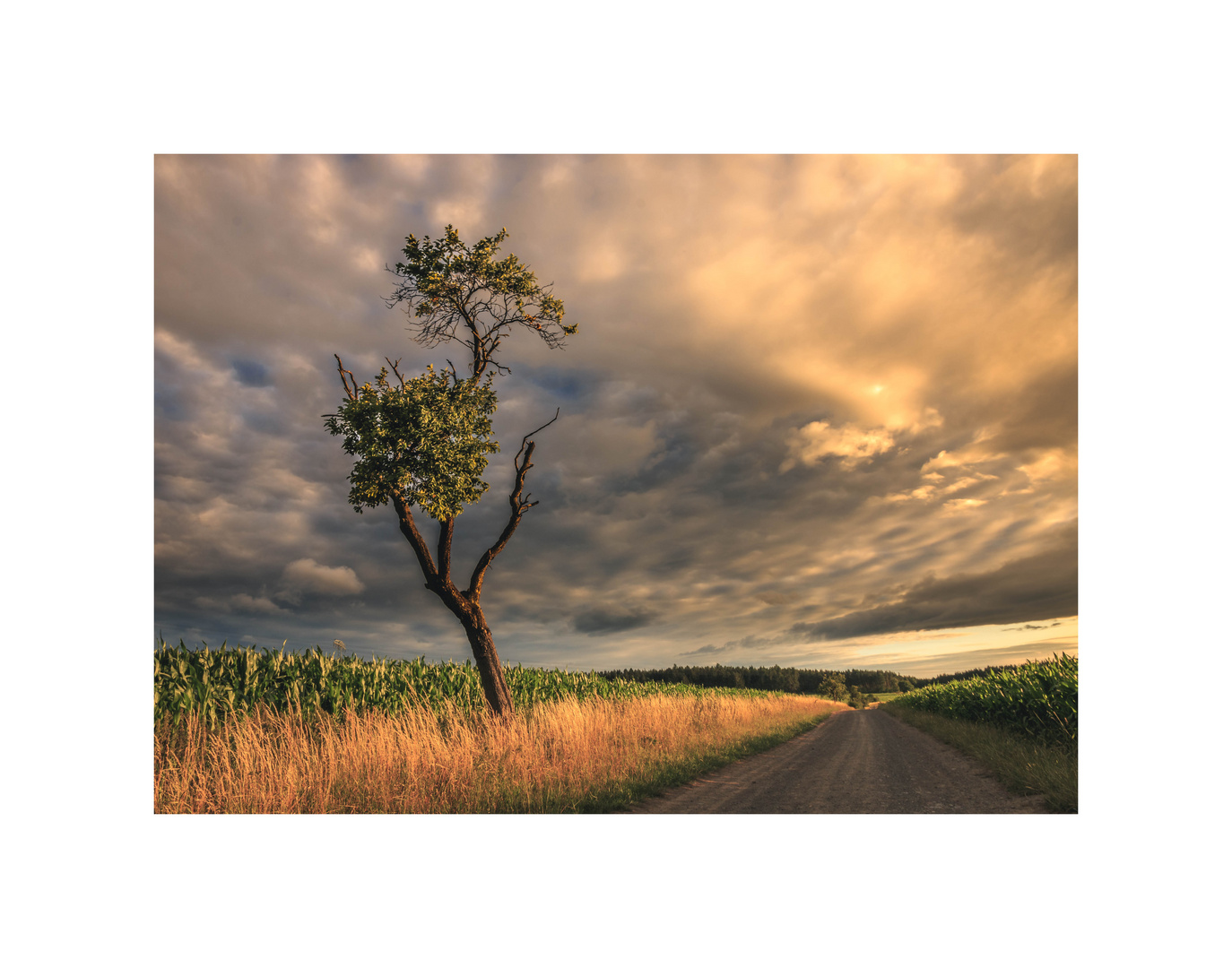 Landschaft im Septemberlicht 