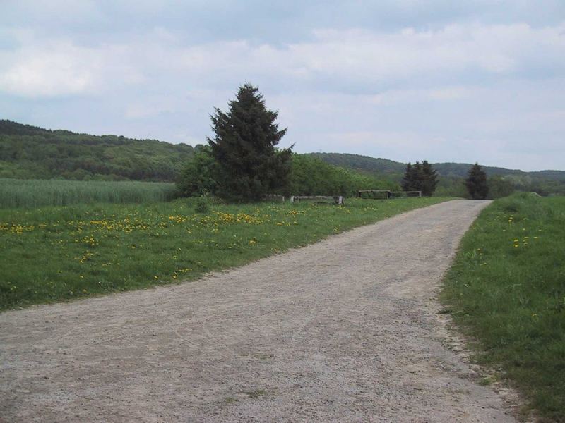 Landschaft im Sommer