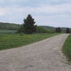 Landschaft im Sommer