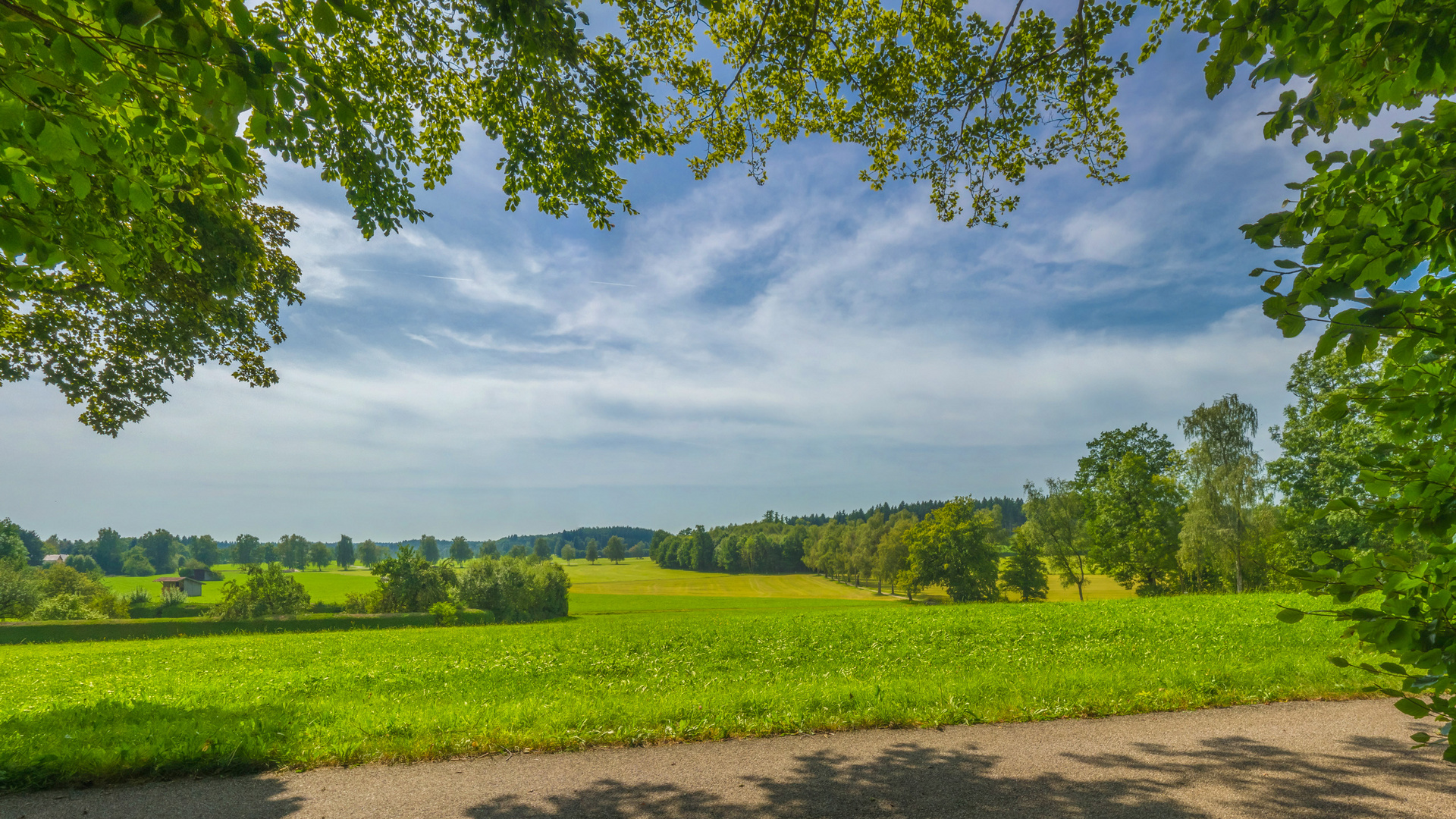 Landschaft im Sommer